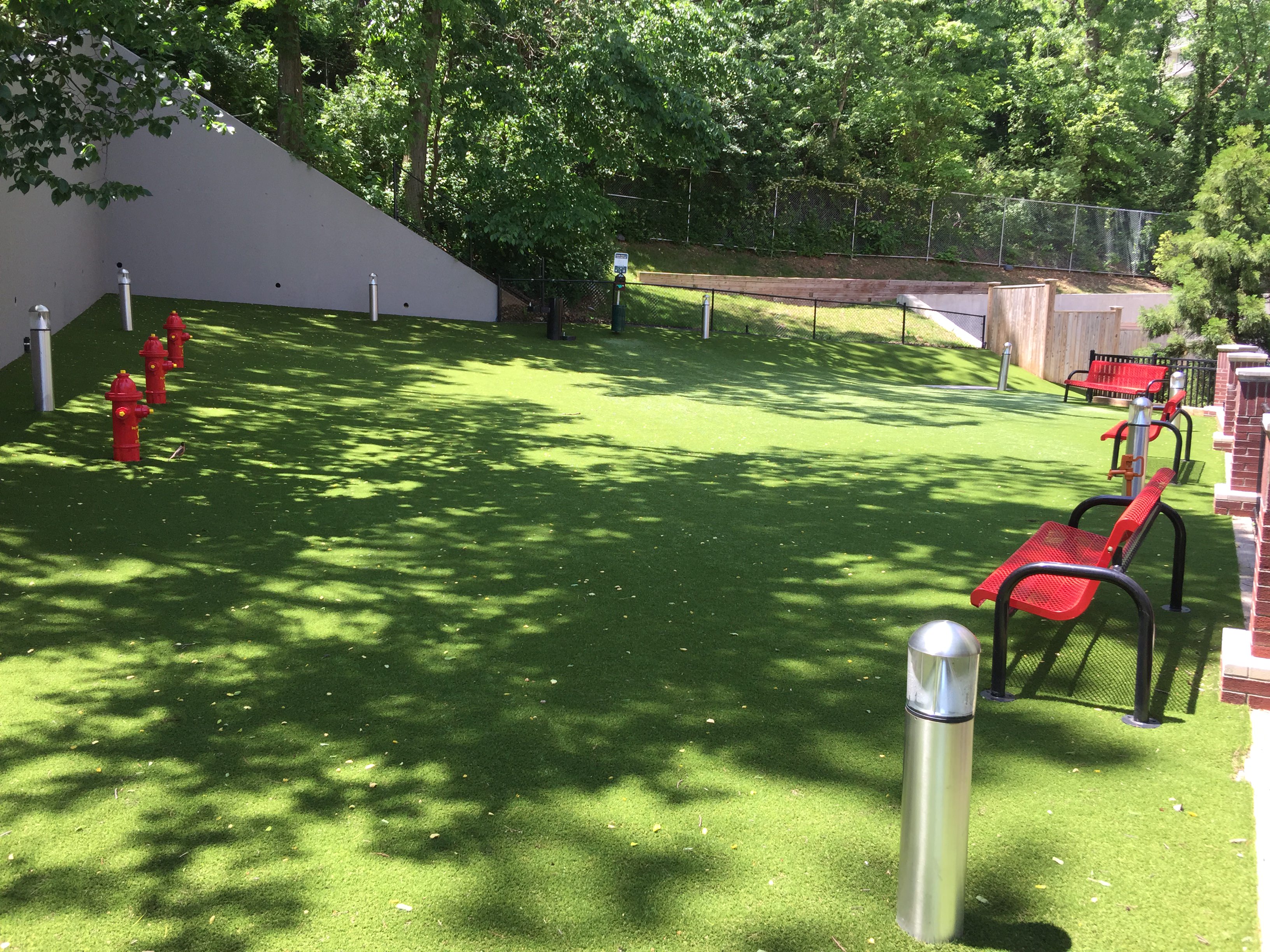 Dog Park Recreational Equipment and Amenities